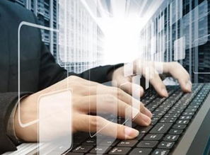 海歸就業(yè)不敵土著 真才實(shí)學(xué)的迷思與軟件輔助設(shè)備的反思